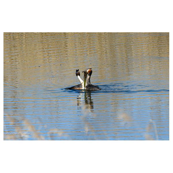 PHOTO84, CLUB, 84 , LUBERON